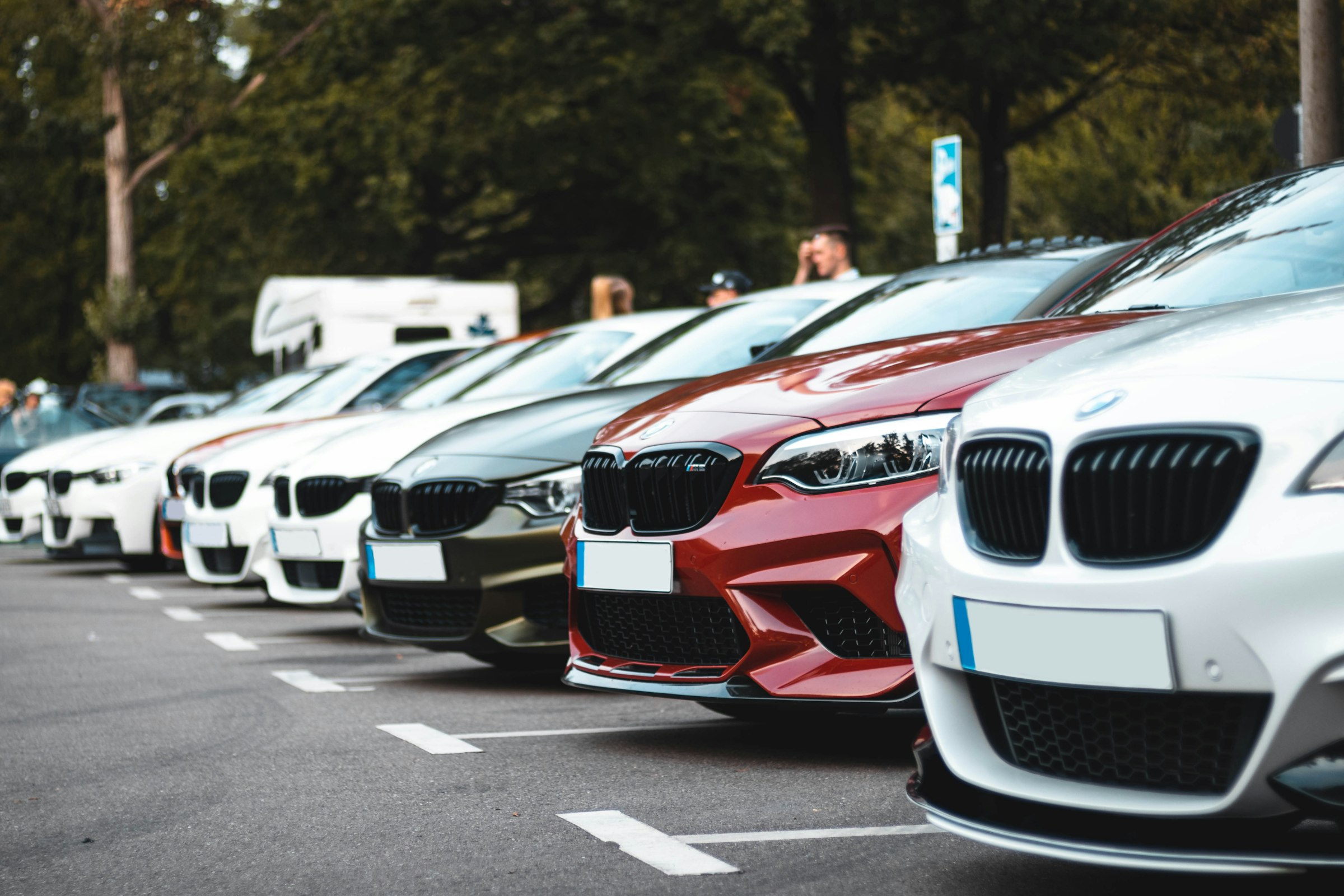 Cars ready to be chosen at a dealership